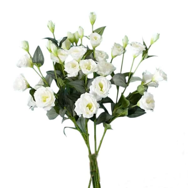 Еустома на гілці