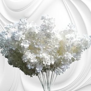 Сакура біла