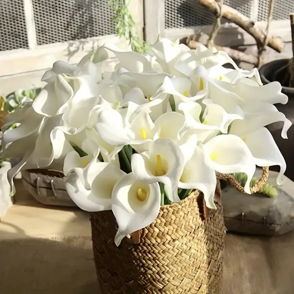 Калли білі