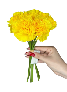 Гвоздика жовта (діантус)