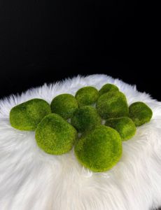 Декоративні камінці з мохом