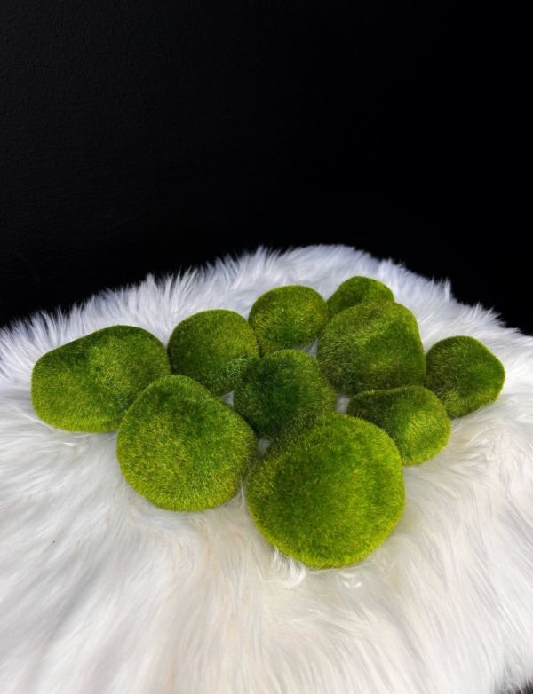 Декоративні камінці з мохом