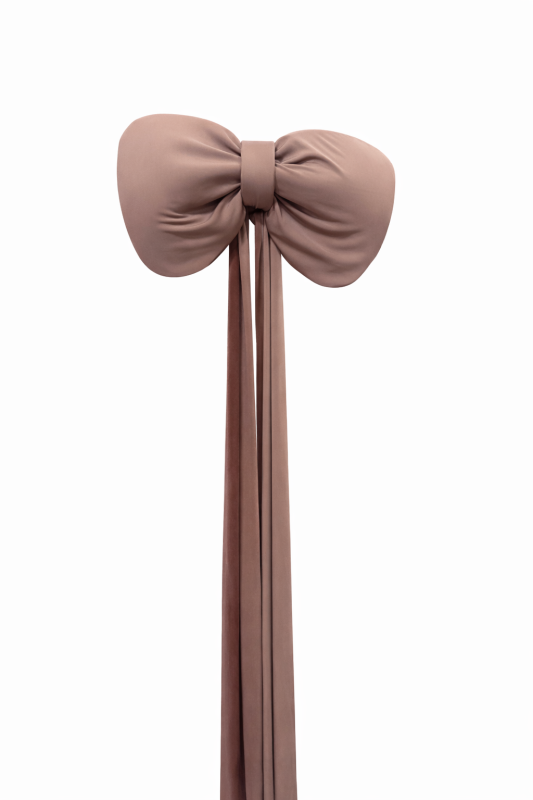 Бант Пудровий