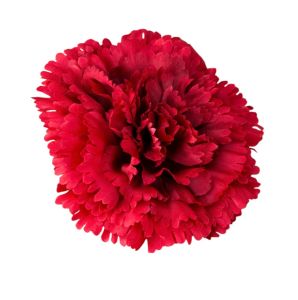 Голова гвоздики червона 9 см