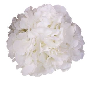 Голова гортензії гігант 24см біла