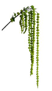 Амарант Deluxe Зелений 170 см