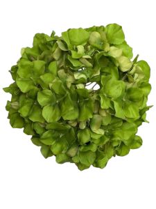 Голова гортензії зелена 22 см