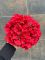 Голова гортензії червона 22 см