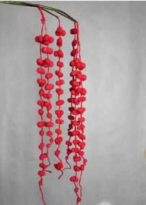 Червоний Амарант 85 см