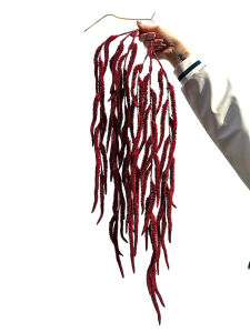 Амарант декоративний звисаючий (бордовий, 100 см)