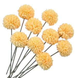 Жоржини Жовті