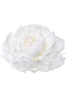 Піон білий 15 см