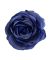 Троянда піоновидна синя 8 см