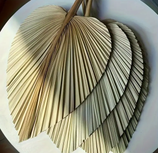 Пальмове листя 50 х 25 см