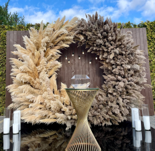 Сухоцвіт Очерету