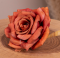 Троянда "лейді" помаранчева 9 см