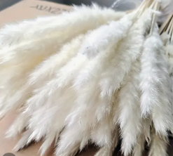 Штучні білі міні стебла Пампасної трави